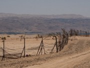 جيش الاحتلال يبدأ بحفر خندق على الحدود مع الأردن