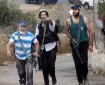 يديعوت أحرونوت: إصابة ضباط كبار بجروح جراء أمتعة ألقيت عليهم من قبل "الحريديم" في القدس