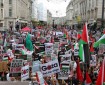 المئات يشاركون في مظاهرة بولاية ميشيغان الأميركية تضامنا مع شعبنا في قطاع غزة