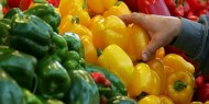 أسعار الخضروات واللحوم في أسواق غزة اليوم الأحد