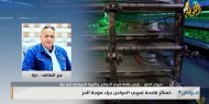 الحلو : خسائر فادحة لمربي الدواجن جراء موجة الحر