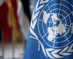 الأمم المتحدة: اجتياح رفح يؤدي إلى كارثة.. ولن نتمكن من إيصال المساعدات دون هدنة