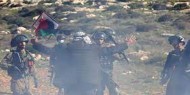 الاحتلال يعتقل ثلاثة من رعاة الأغنام في مسافر يطا بعد تعرضهم لاعتداء مستعمرين