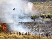 مستوطنون يشعلون النار بأرض زراعية في برقا شرق رام الله