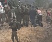 الاحتلال يعتقل شابا ومستعمرون يسرقون رأس ماشية بمسافر يطا