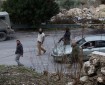 مستعمرون يهاجمون منزلا في ترمسعيا شمال رام الله