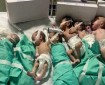 «يونيسف»: حياة 20 مولودا بمستشفى شهداء الأقصى مهددة بسبب نقص الوقود