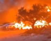 مستعمرون يحرقون أراضي زراعية و"مشطب" مركبات في يتما جنوب نابلس