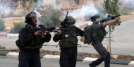 قلقيلية: إصابة 5 شبان برصاص الاحتلال خلال قمع مسيرة سلمية
