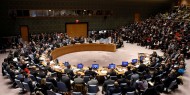 مجلس الأمن يرحب بدعوة "الترويكا العربية" بالتصدي لمخطط الضم الإسرائيلي