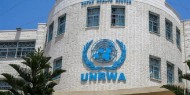 جهود فلسطينية بالأمم المتحدة لتجديد تفويض الـ"أونروا" لثلاثة أعوام