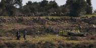 بالصور|| مستوطنون يهاجمون أراضي المزارعين في نابلس
