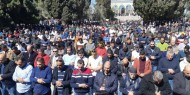 فيديو|| 20 ألف مصلٍ يؤدون صلاة الجمعة في المسجد الأقصى