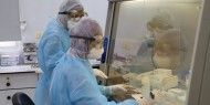 5 حالات وفاة و596 إصابة جديدة بفيروس كورونا في فلسطين