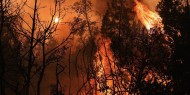 البرازيل: حرائق الغابات تعرقل هبوط طائرة بولسونارو