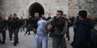 مركز فلسطين: الاحتلال اعتقل 415 مواطنا خلال يناير