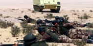 مقتل 17 مسلحًا خلال حملة أمنية للجيش المصري في سيناء