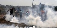 إصابات بالاختناق خلال مواجهات مع الاحتلال في الخليل