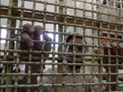 الأسير نادر أبو عبيد من جنين يدخل الـ 15 في سجون الاحتلال