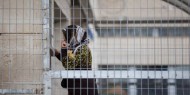 ارتفاع أعداد الأسيرات المعتقلات إداريا في سجون الاحتلال