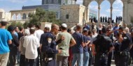 عشرات المستوطنين يقتحمون الأقصى بحراسة مشددة من قوات الاحتلال
