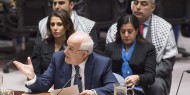 منصور يطالب مجلس الأمن بتوفير الحماية الدولية للفلسطينيين