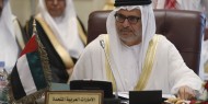 الإمارات: على تركيا التوقف عن التدخل فى الشأن العربي