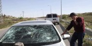 قطعان المستوطنين تهاجم مركبات المواطنين بين نابلس وقلقيلية