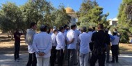عشرات المستوطنين يقتحون باحات المسجد الأقصى بحراسة من شرطة الاحتلال