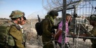 جيش الاحتلال يعتقل شابا تسلل من شمال قطاع غزة