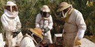 الزراعة بغزة تقرر منع استيراد عسل النحل