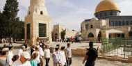 منظمة التحرير: التوسع الاستيطاني في القدس يهدف إلى تهويد المدينة  