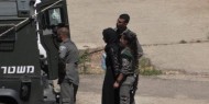 الاحتلال ينقل الفتاة صابرين حنايشة إلى معتقل حوارة
