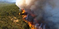 الدفاع المدني يحاول إخماد حرائق أشعلها مستوطنون جنوبي نابلس