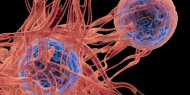 علماء ينهون جحيم "مرض السرطان" بتجارب حديثة وناجحة
