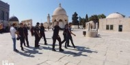 فيديو|| الاحتلال يعتقل 5 فتيات في المسجد الأقصى