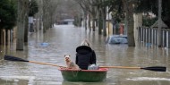 كوريا الجنوبية: الفيضانات تؤدي بحياة شخص وتغرق مئات المنازل والسيارات