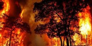 مقتل شخصين جراء الحرائق المنتشرة في غابات أستراليا