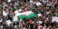 مسيرة غاضبة ترفض تدخلات البرلمان الأوروبي في شؤون الجزائر