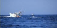 غرق سفينة تحمل 30 طن سمك في البحر الأسود