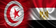 السيسي يوافق على زوج وزير مصري من مواطنة تونسية