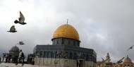 7 مشاريع ثقافية جديدة في القدس