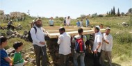 مستوطنون يقطعون أشجار الكرمة في "بيت اسكاريا" جنوب بيت لحم