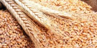تونس تطرح مناقصة لشراء القمح الصلد واللين