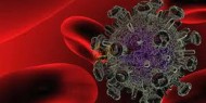 32 وفاة و254 إصابة جديدة بفيروس كورونا في أفغانستان