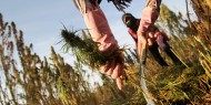 زراعة غزة تصدر إعلانا مهما للمزارعين والمواطنين بشمال القطاع