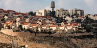 توسيع سياسة الضم والاستيطان في ظل تشكيل الحكومة الإسرائيلية
