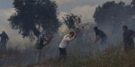 إصابات واعتقالات خلال مواجهات مع الاحتلال في كفر قدوم