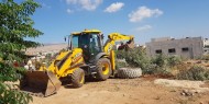 بالصور|| الاحتلال يقتلع عشرات أشجار الزيتون لعائلة ربايعة في قرية بردلة بالأغوار