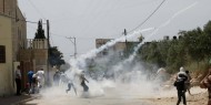 21 إصابة خلال مواجهات مع الاحتلال في نابلس وقلقيلية
